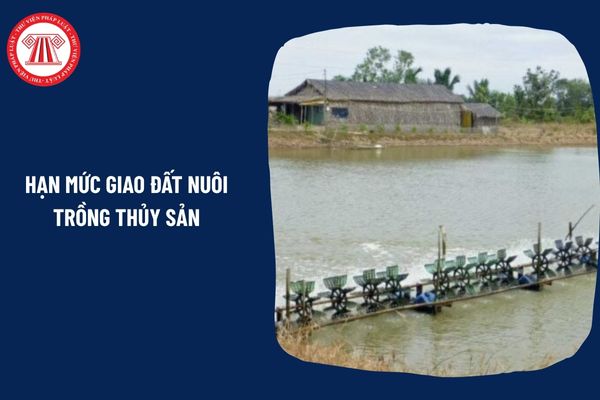 Pháp Luật Nhà Đất