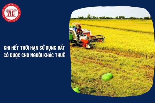 Pháp Luật Nhà Đất