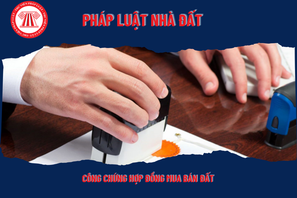 Pháp Luật Nhà Đất