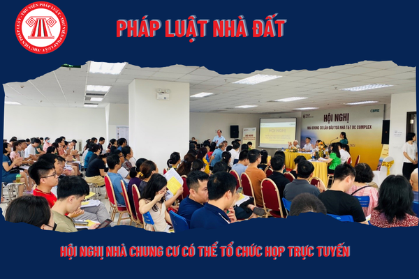 Pháp Luật Nhà Đất