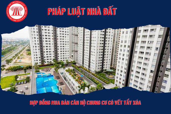 Pháp Luật Nhà Đất