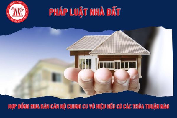 Pháp Luật Nhà Đất
