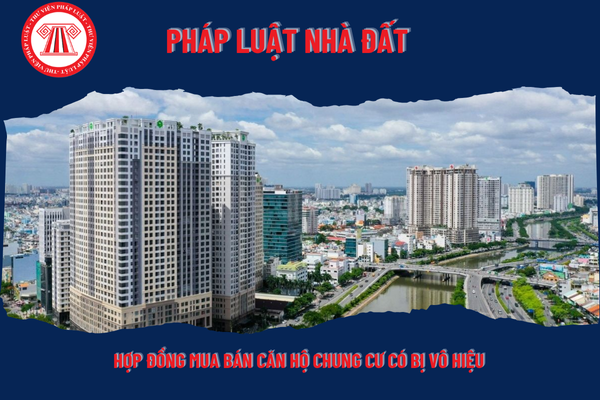 Pháp Luật Nhà Đất