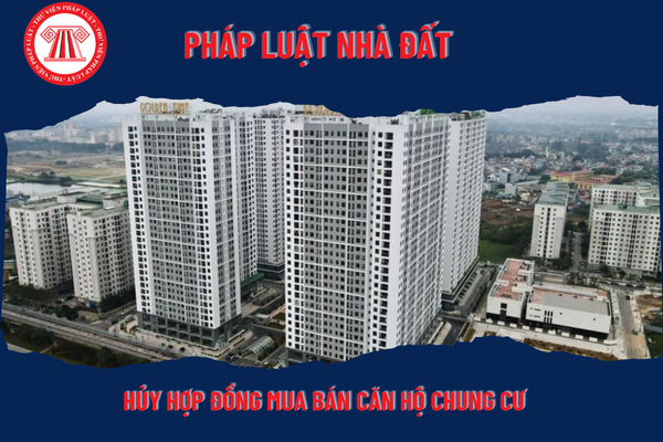 Pháp Luật Nhà Đất