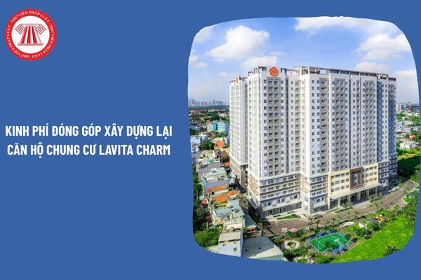 Pháp Luật Nhà Đất
