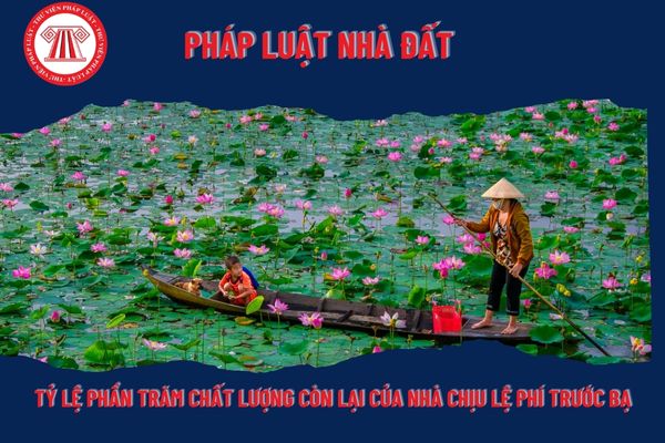 Pháp Luật Nhà Đất