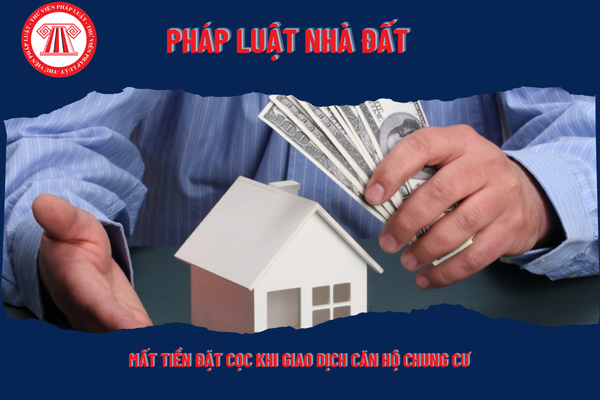 Pháp Luật Nhà Đất
