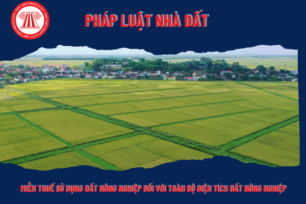 Pháp Luật Nhà Đất