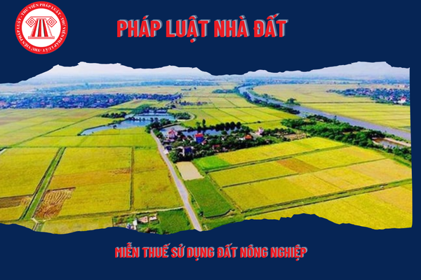 Pháp Luật Nhà Đất