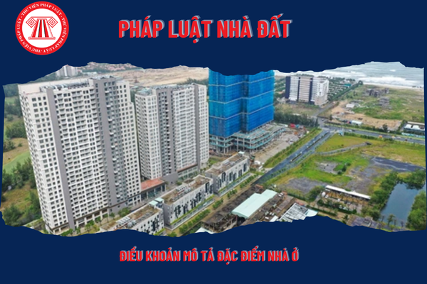 Pháp Luật Nhà Đất