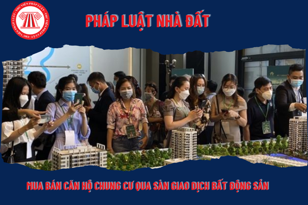 Pháp Luật Nhà Đất