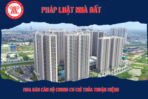 Pháp Luật Nhà Đất