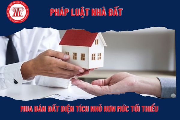 Pháp Luật Nhà Đất