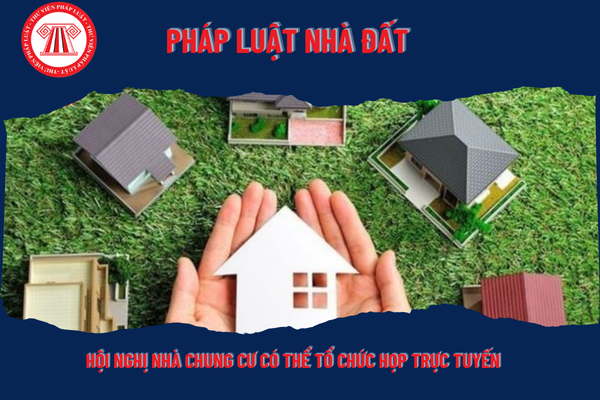 Pháp Luật Nhà Đất