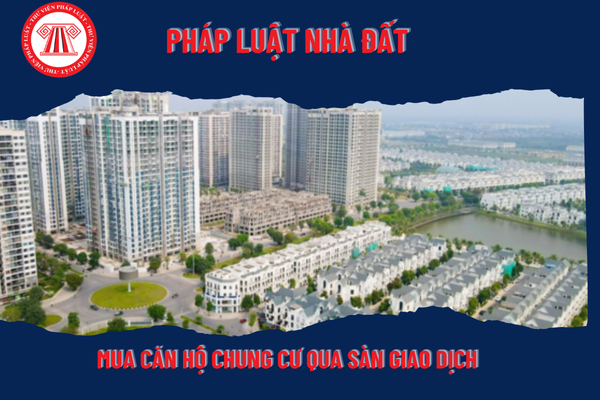 Pháp Luật Nhà Đất