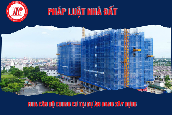 Pháp Luật Nhà Đất