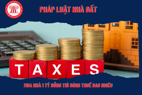Pháp Luật Nhà Đất