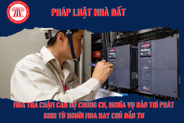 Pháp Luật Nhà Đất