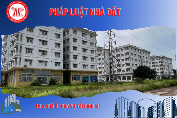 Pháp Luật Nhà Đất