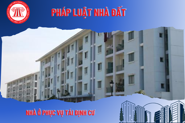 Pháp Luật Nhà Đất