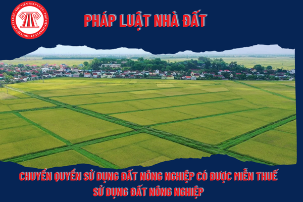 Pháp Luật Nhà Đất