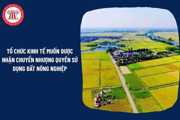 Pháp Luật Nhà Đất