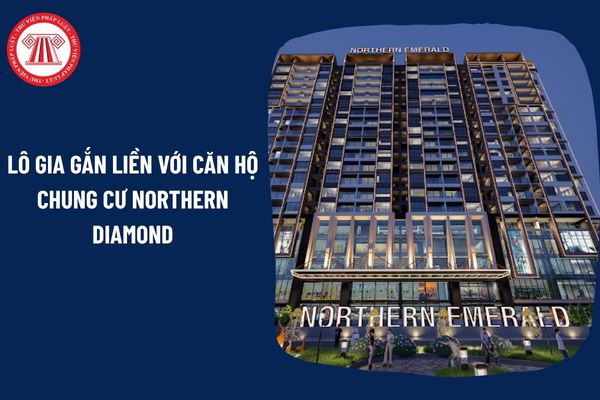 Pháp Luật Nhà Đất