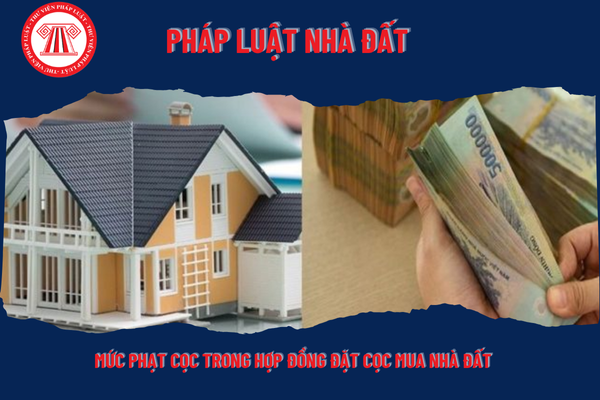 Mức phạt cọc trong hợp đồng đặt cọc mua nhà đất là bao nhiêu?