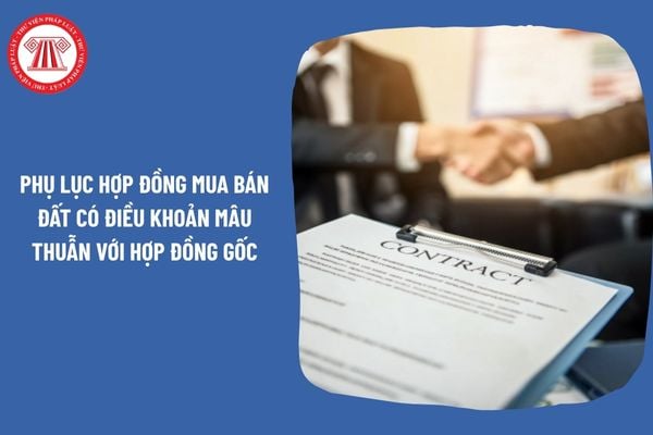 Pháp Luật Nhà Đất