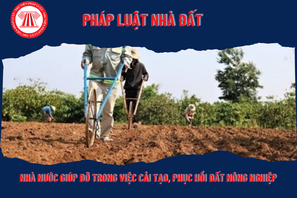 Pháp Luật Nhà Đất