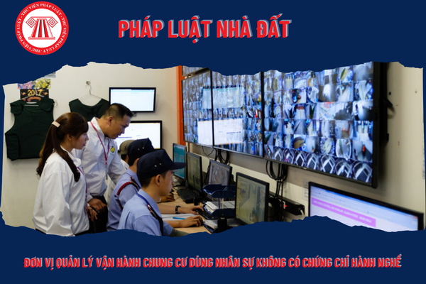 Pháp Luật Nhà Đất