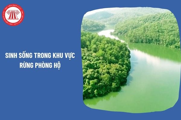 Pháp Luật Nhà Đất