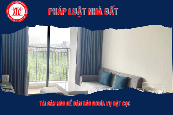 Pháp Luật Nhà Đất