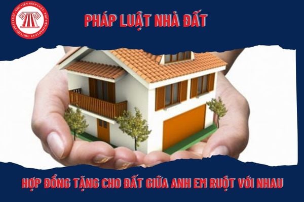 Pháp Luật Nhà Đất