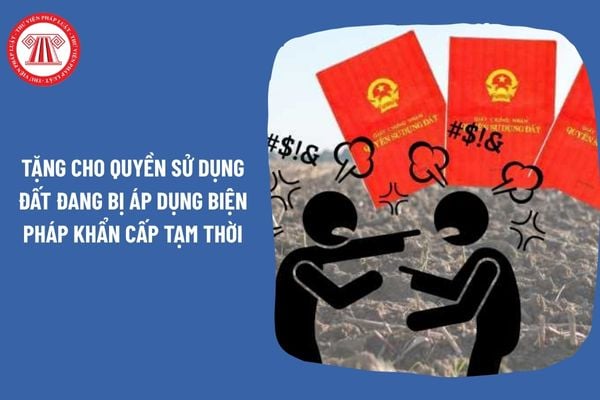 Pháp Luật Nhà Đất