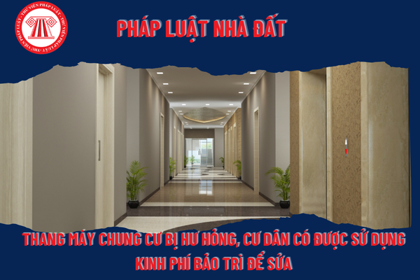Pháp Luật Nhà Đất