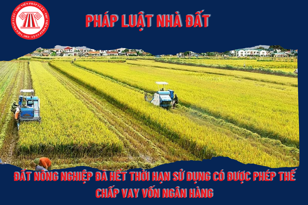Pháp Luật Nhà Đất