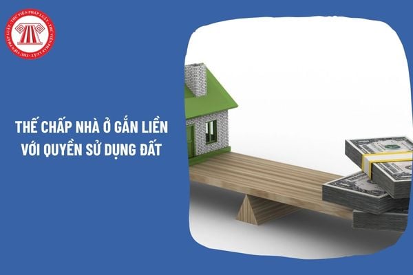 Pháp Luật Nhà Đất
