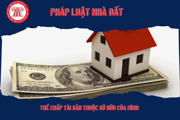 Pháp Luật Nhà Đất