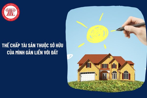 Pháp Luật Nhà Đất