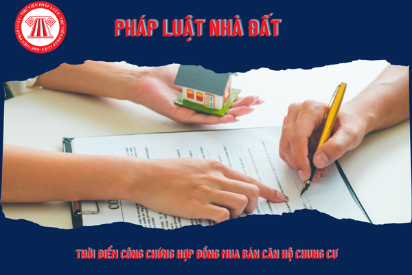 Pháp Luật Nhà Đất