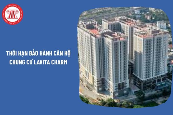 Pháp Luật Nhà Đất
