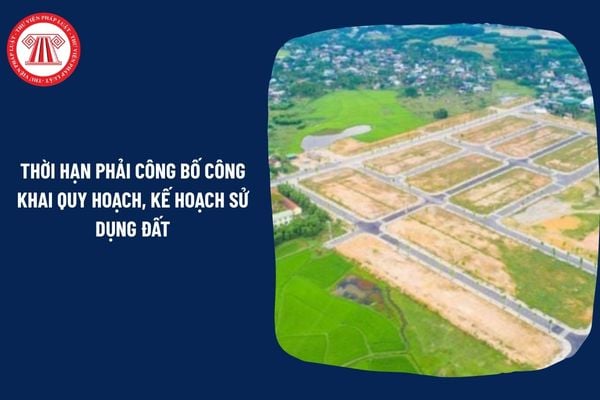 Pháp Luật Nhà Đất