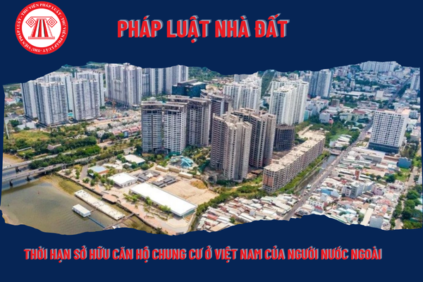 Pháp Luật Nhà Đất
