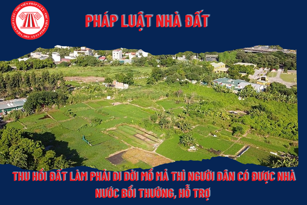 Pháp Luật Nhà Đất