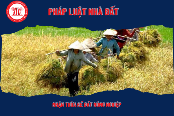 Pháp Luật Nhà Đất