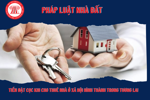 Pháp Luật Nhà Đất