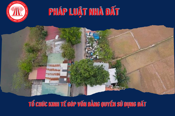 Pháp Luật Nhà Đất
