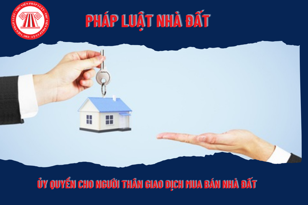 Pháp Luật Nhà Đất