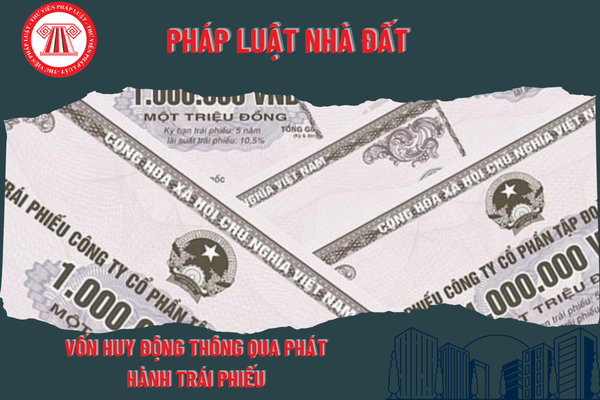 Pháp Luật Nhà Đất